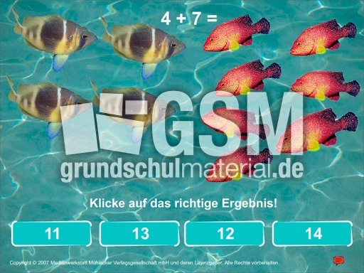 ZR20-1-Rechnen mit Fischen.pdf